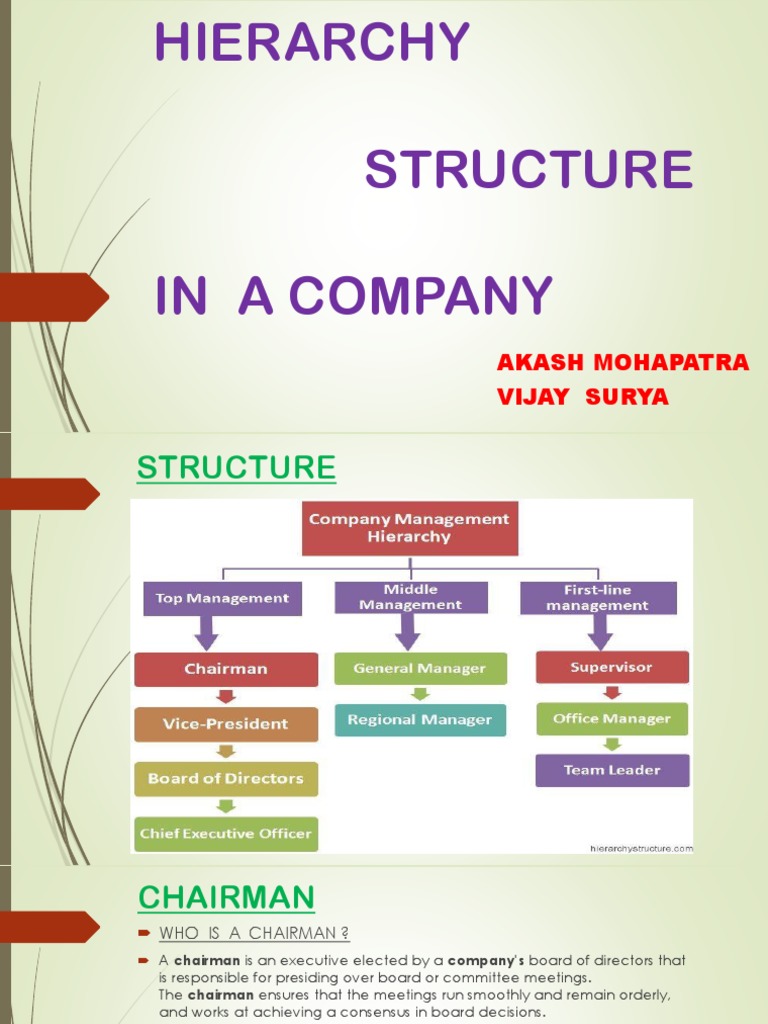 Company Executive Hierarchy Explained | PDF | Board Of Directors ...