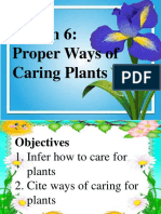 How To Take Care of Plants