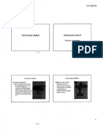 Curs 7 Patologie Orala PDF