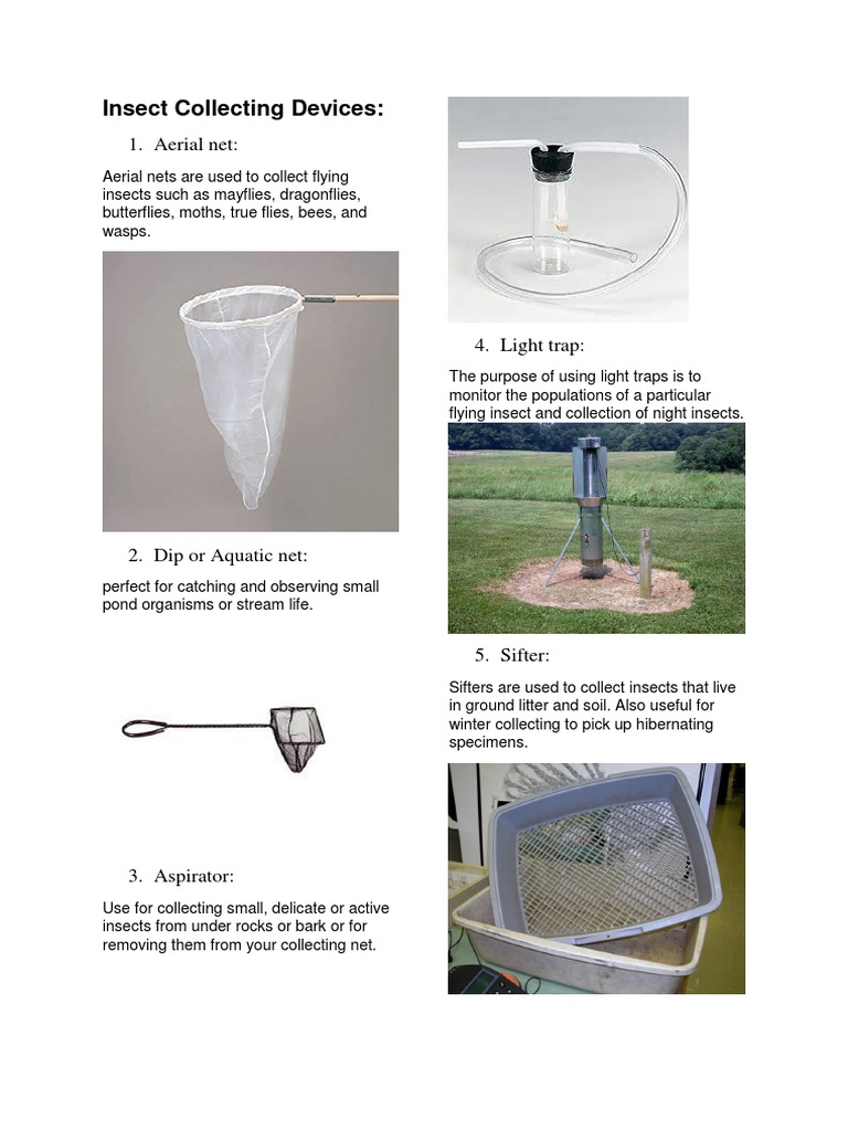 Insect Collecting Devices Overview | PDF