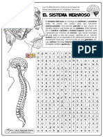 SOPA DE LETRAS SISTEMA NERVIOSO.pdf