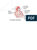 Arteri Coronary