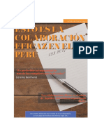 colaboracion eficaz IDL.pdf