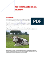 Cualidades y Bondades de La Raza Normando PDF