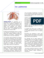 Protección de los Pulmones.pdf