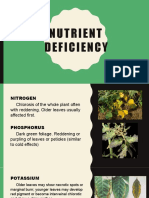 Nutrient Deficiency