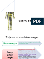 Sistem Rangka