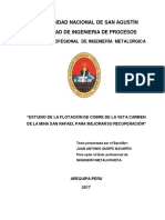 PRUEBAS DE FLOTACION.pdf