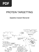 Protein Targetting