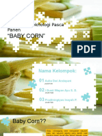 Team 7 Fistek Baby Corn