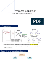 Biosintesis Asam Nukleat