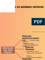 MORFOLOGIA EXTERMIDADES