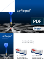 Leflogal PPT Template-1 - 635