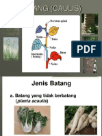 STRUKTUR DAN FUNGSI BATANG