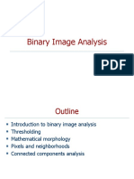 Binary Image Analysis Techniques