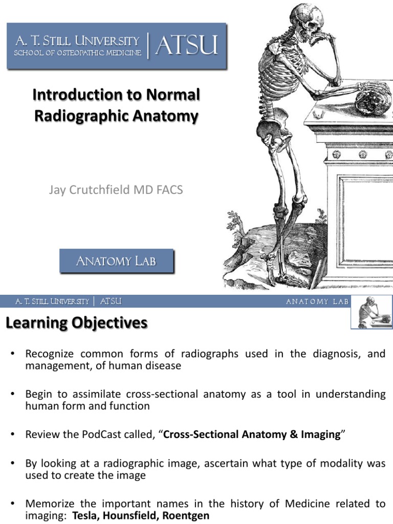 Introduction To Normal Radiographic Anatomy: A. T. S U | PDF | Medical ...