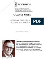 Ciclo de Krebs