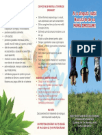 Consumul de Droguri Pliant PDF