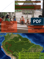 Realidad Pobreza Amazonica