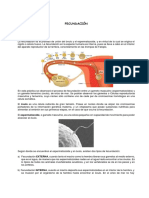 FECUNDACIÓN