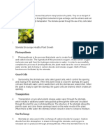 References Bio7 Stomata