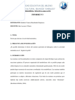 Informe 3