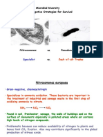 Microbial Diversity Gram-Negative Strategies For Survival: Nitrosomonas