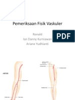 Pemeriksaan Status Vaskuler