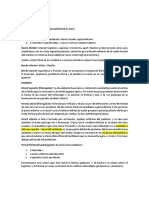 Ojo Clase de Neuroanatomía Desgrabación