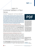 Haploid Strategies For Functional Validation of Plant Genes: Review