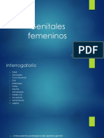 Genitales-femeninos