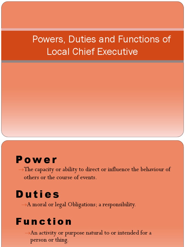 Powers, Duties and Functions of Local Chief Executive. PDF Police Mayor