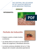 Grupo N 2 Dengue