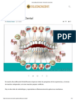 Descodificación Dental – Evolución Consciente