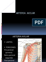 Arteria Axilar y Braquial