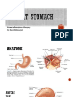 Referat Stomach