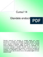 Cursul 14.Endocrin