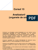 Cursul 13.Analizatorii