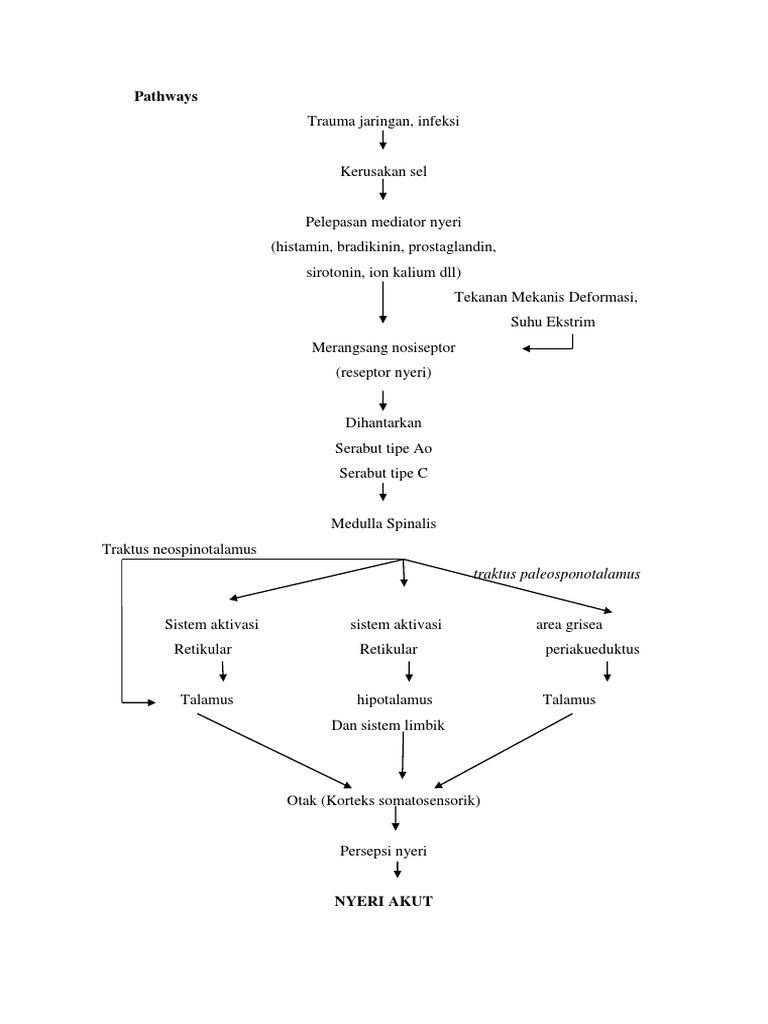Understanding Pain Pathways and Mechanisms | PDF