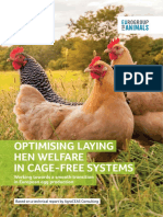 Optimising Laying Hen Welfare in Cage Free Systems