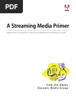 A Streaming Media Primer