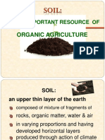 Soil - Basis For Organic Agriculture 1