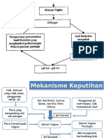 Patofisiologi Keputihan 2