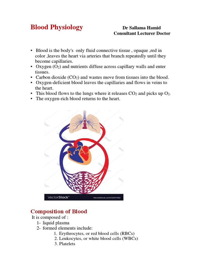 Blood Physiology and Composition Guide | PDF | Blood Plasma | Blood