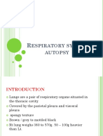 Espiratory System Autopsy