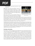 Download Islam by t_rogoz SN43425301 doc pdf