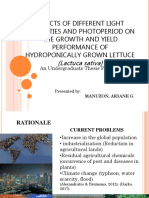 Effects of Different Light Intensities and Photoperiod On The Growth and Yield Performance of Hydroponically Grown Lettuce