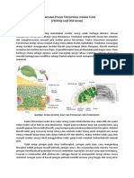 Pengamatan Proses Fotosintesis Melalui FLDA