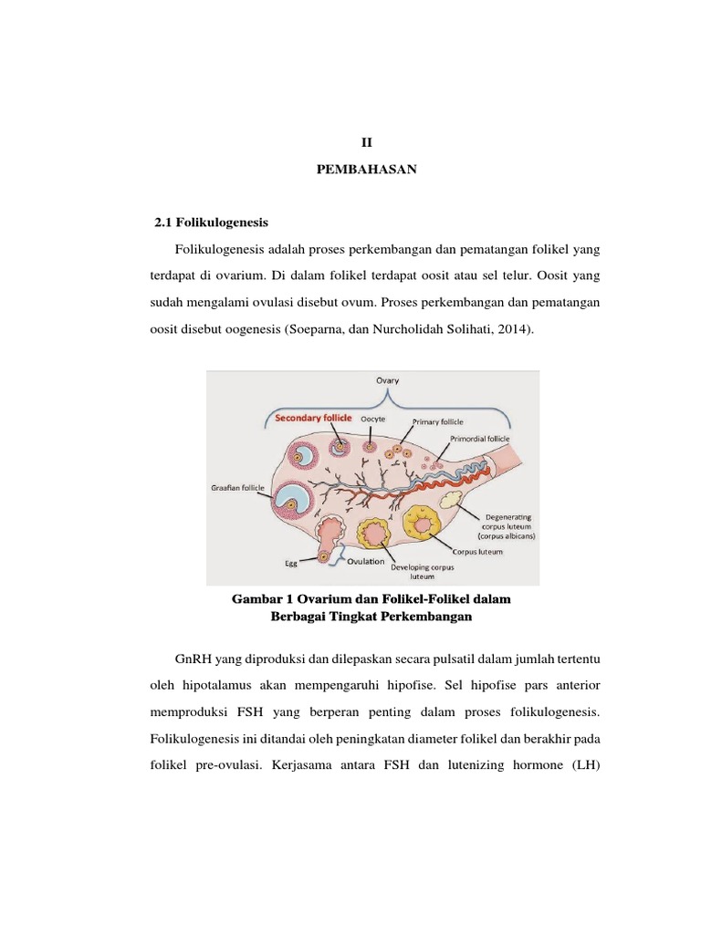 Shakira porno videolar