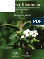 Clinopodium gillesi.pdf